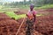14 November 2018 : African subsistence farmer in her fields