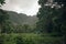 The 1450 ft tall Hi'ilawe waterfall in the Waipio Valley. Big Island, Hawaii