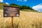 15 august 2018, Fiss Austria: Fisser Imperial barley field