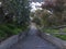 15Th Avenue steps, one of San Francisco`s smallest, UNofficial parks, 11.