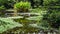 16:9 Birds in a Florida Wetland Background