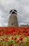 16 th century Whitburn Windmill