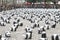 1600 Pandas World Tour in Hong Kong