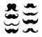 164_Set of mustaches black silhouettes. Collection of men`s mustaches