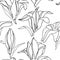 1673 coloring, seamless pattern with lilies, coloring, ornament for wallpaper and fabric, wrapping paper, background for scrapbook