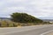 17 mile drive landscape at pacific coast, Monterey, California