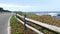 17-mile drive scenic road, Monterey, California, ocean waves. Succulent plants.