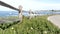 17-mile drive scenic road, Monterey, California, ocean waves. Succulent plants.