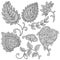 1785 ornaments, set of elements in black and white, stylized flowers, isolate on a white background
