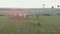 18-07-2019 Suzdal, Russia: different colorful air balloons are taking off over the field