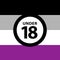 18 under sign warning symbol on the asexual pride flags background, LGBTQ pride flags of lesbian, gay, bisexual, transgendered