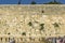 180/5000 Israel-Jerusalem 12-05-2019 View of men and women section of the western wall Hakotel where pilgrims from all over the