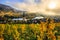 180-degree Moselle loop, vineyards, landscape and lighting in the morning, sunrise in autumn