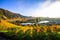 180-degree Moselle loop, vineyards, landscape and lighting in the morning, sunrise in autumn