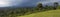 180 degree panorama of forest in Kenya