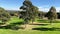 180 degree view of a Suburban western Sydney Park in NSW Australia trees walking trails