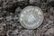 1843 Mexican Libertad Silver Coin on Ground in Dirt Front View