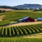 186 A charming countryside vineyard with rolling vineyards, wine tastings, and scenic picnic areas, inviting visitors to savor t