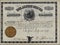 1879 The Alpine Silver Mining Company Stock Certificate