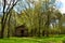 1890s Danish Immigrants Farm House among the trees and meadow