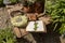 18th century day at Gammel Estrup Castle, Flowers used to tie flower wreaths, a book on the bench