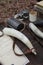 18th century powder horn and supplies