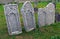 18th century tombstones at the old Jewish cemetery