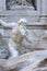 18th century Trevi Fountain, character of triton, Rome, Italy