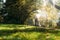 19/4/2020 Asian woman with a bike feeding a dog in autumn at the Botanic garden, Oamaru, New Zealand. Concept about exercise while