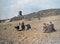 1901 Vintage Photo of Victorian Families on Beach, Aberystwyth, Wales, UK