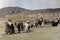 1901 Vintage Photo of Victorian Families on Beach, Aberystwyth, Wales, UK