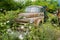 A 1949 Dodge flatbed truck overgrown with weeds in a junkyard in Idaho, USA - July 26,2021