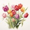 1960s Dutch Watercolor: Detailed Tulip Bouquet In Naturalistic Botanical Art Style