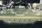 1966 Dodge Monaco an American Classic Green Car