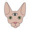 1970 psychedelic eye. Cat sphynx with third eye. Hippie 70s clipart