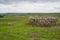 19th Century well at Housesteads Roman Fort