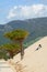 2 boys playing in the dunes surrounded by trees and a beautiful views in Tarifa, Spain