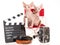 2 cute Sphynx kittens with movie props