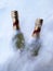 2 green Liqueur bottles buried in the white snow ready for part celebrate season\\\'s greetings