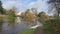 2 grey white swans on flooded river path