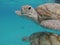 2 Hawksbill turtles underwater close up Barbados Nature reserve