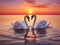 2 majestic white swans swim in the glassy waters of the Baltic Sea in front of a stunning orange sunset. The swans form a heart