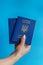 2 passports Ukraine in the hand of a girl with manicure on a blue background