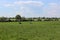 2 people horse riding in the English countryside