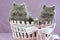 2 Persian kittens in pink basket