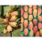 2 phothos collage of ripe prickly pear cactus fruits.