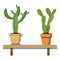 2 potted cactus plants in nice colorful flower pots against white wall. House plants on woden shelf isolated on white