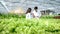 2 Scientists examined the quality of vegetable organic salad and lettuce from the farmer`s hydroponic farm
