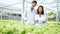 2 Scientists stand in a farmer`s hydroponic farm growing a vegetable organic salad and lettuce