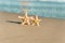 2 sea stars standing on golden sand near sea. Couple on summer vacation concept